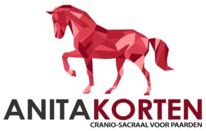 Cranio sacraal voor paarden